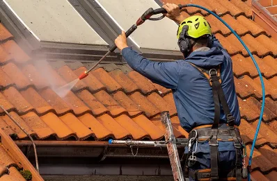 Démoussage et hydrofuge de toiture à Lavernat